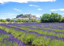 Prolećna putovanja - Provansa - Hoteli