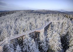 Vikend putovanja - Rogla - Apartmani