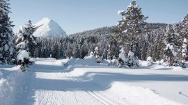 Seefeld