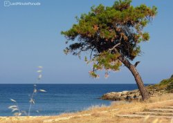Leto 2025, letovanje - Tasos - Apartmani: Plaža Psili Amos