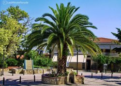 Leto 2025, letovanje - Polihrono - Apartmani: Palma