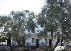 Leto 2025, letovanje - Vrahos - Apartmani: Vila Filoxenia