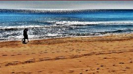 Albena