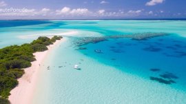 Maldivi