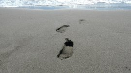 Ada Bojana: Plaža na Adi Bojani