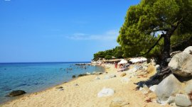 Nikiti: Kalogria plaža
