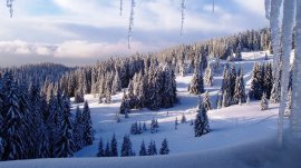 Pamporovo
