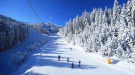 Bansko