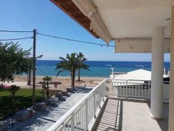 Leto 2025, letovanje - Nea Flogita - Apartmani