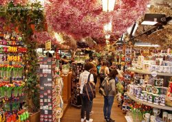 Jesenja putovanja - Amsterdam i Berlin - Hoteli: Cvetna pijaca - Bloemenmarkt