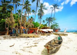 Daleke i egzotične destinacije - Zanzibar - Hoteli: Centar leptira