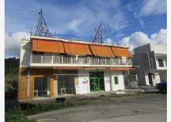 Leto 2025, letovanje - Neos Marmaras - Apartmani: Vila Janis