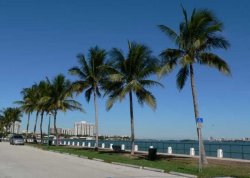 Nova godina 2026 - Zima na Karibima - Apartmani