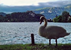 Vikend putovanja - Bled - Hoteli