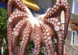 Leto 2025, letovanje - Sarti - Apartmani: Hobotnica