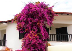 Leto 2025, letovanje - Polihrono - Apartmani: Živopisna Grčka