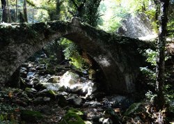 Leto 2025, letovanje - Pilion - Hoteli: Stari most na Pilionu