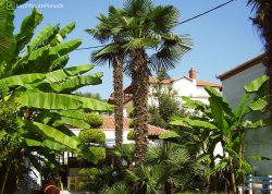 Leto 2025, letovanje - Leptokarija - Apartmani: Mala oaza