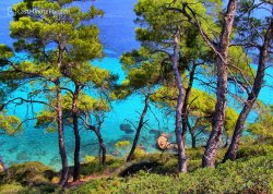 Leto 2025, letovanje - Sitonija - Apartmani: Afitos