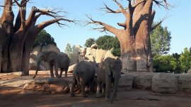 Valensija: Cabecera Park