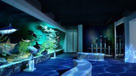 Bukurešt: Unutrašnjost muzeja prirodne istorije