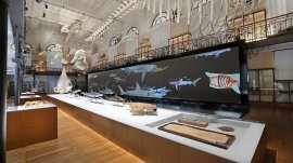 Monte Karlo: Unutrašnjost muzeja okeanografije