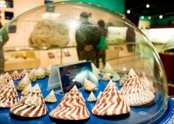 Leto 2026, letovanje - Tajland - Hoteli: Muzej školjki