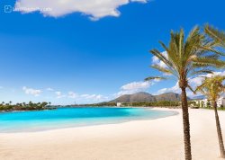 Leto 2025, letovanje - Majorka - Hoteli: Plaža Alcudia