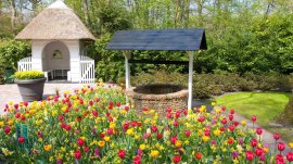 Amsterdam: Cvetna bašta