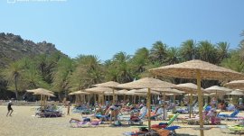 Krit: Plaža Vai