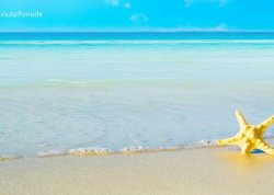 Leto 2025, letovanje - Nei Pori - Apartmani: Plaža 