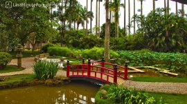 Rio de Žaneiro: Botanička bašta