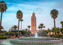 Metropole i znameniti gradovi - Maroko  - Hoteli: Park i džamija