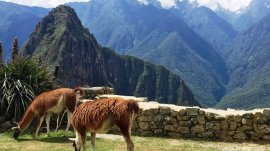 Machu Picchu