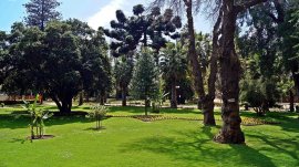 Valparaiso: Park Quinta Vergara