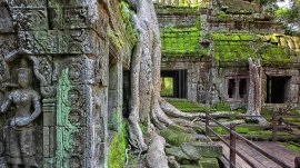 Angkor Wat: Hram Ta Prohm
