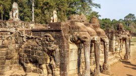 Angkor Wat: Terasa slonova