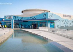 Leto 2025, letovanje - Lido di Jesolo - Hoteli: Akvarijum morski život