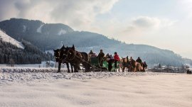 Katschberg: Prevoz kočijama
