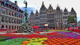 Antverpen: Cvetni tepih na gradskom trgu