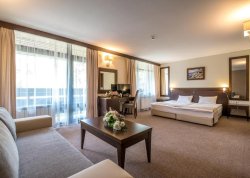 Sretenje - Borovec - Hoteli: Hotel Lion Borovets 4*
