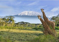 Jesenja putovanja - Safari avantura u Keniji - Hoteli: Nacionalni park Tsavo