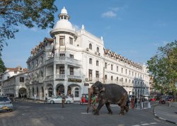 Metropole i znameniti gradovi - Šri Lanka i Maldivi - Hoteli: Kendy