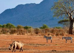 Leto 2026, letovanje - Kenija - Hoteli